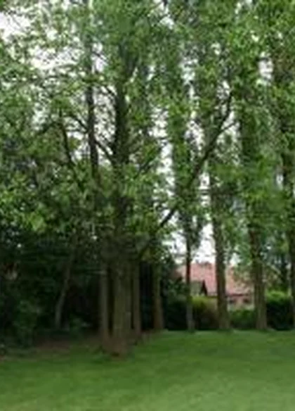 B&B La Chapelle au Puits 6
