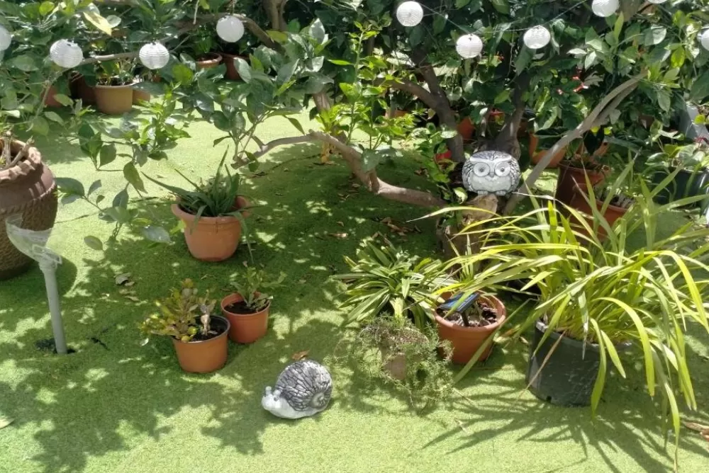 Jardín con zona de barbacoa