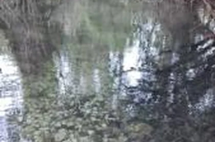 Hostal Restaurante Andra 7