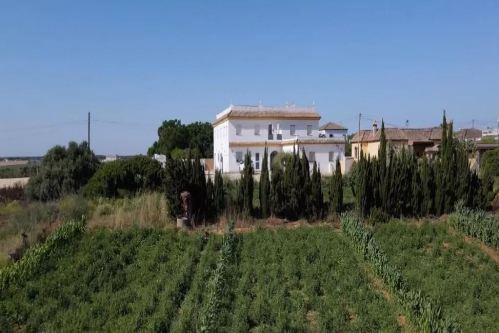 Jardín mediterráneo