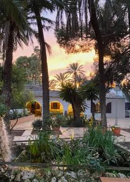 Pink Lemon House 5
