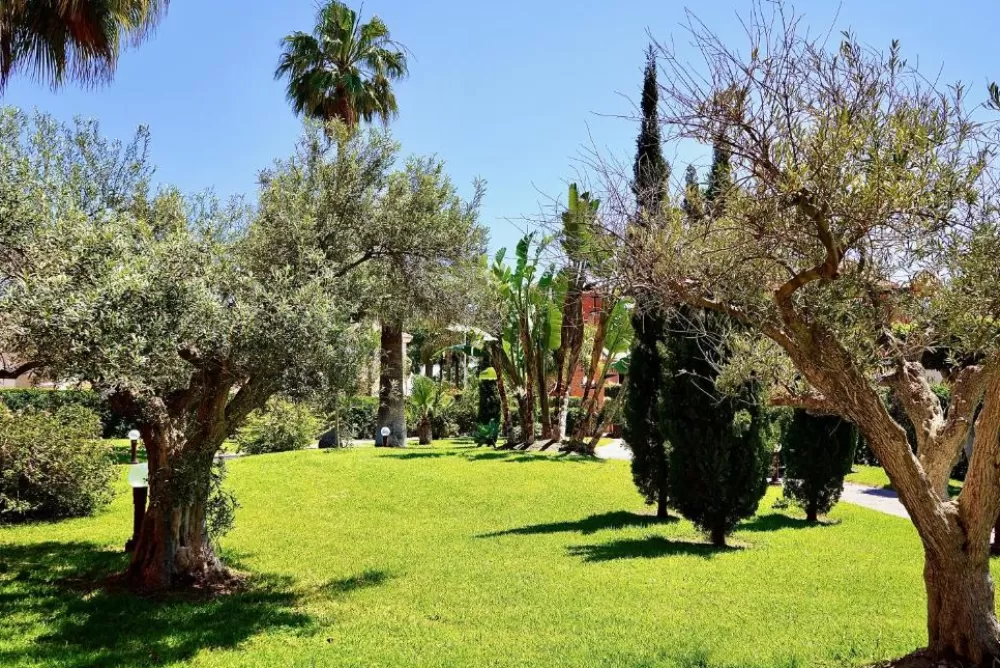 Jardines cuidados