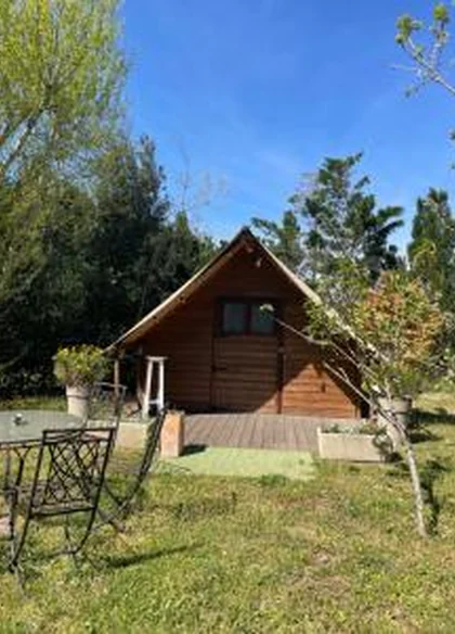 La fricassée chez Marie Jo 6