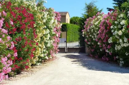 Le Clos de Calas 3