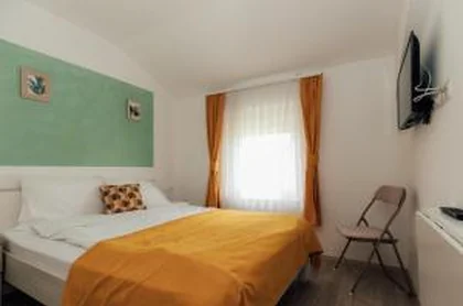 Restoran Savić 8
