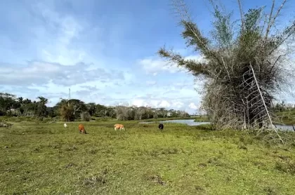 Maravakandy Farm and Guest House 7