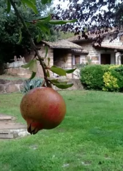Agriturismo Casale Loreto 6