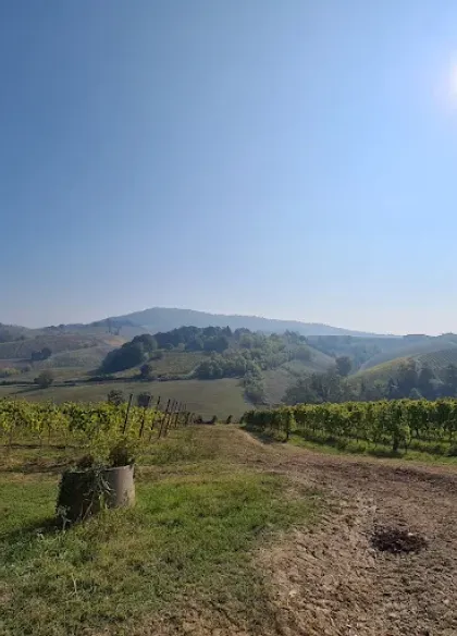 Agriturismo Cascina Angelina 5