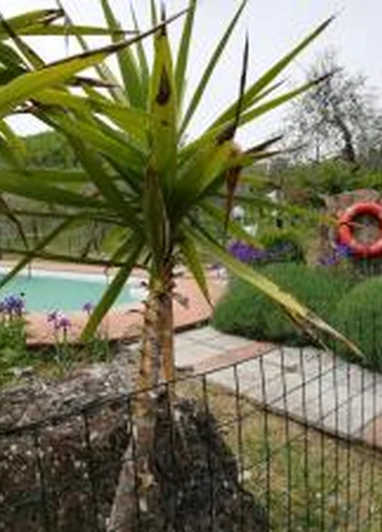 Agriturismo Crocino in Chianti 6