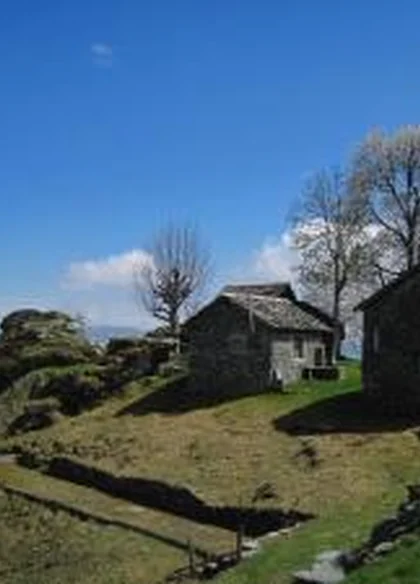 Agriturismo Il Runch Di Majrano Luca 5