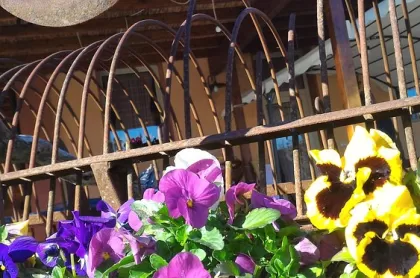 Agriturismo Perugini 3