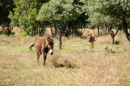Agriturismo Santa Lucia 8
