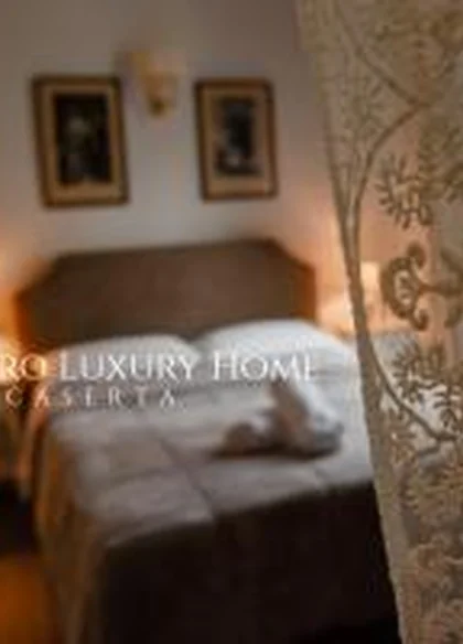 Al Centro Luxury Home 5