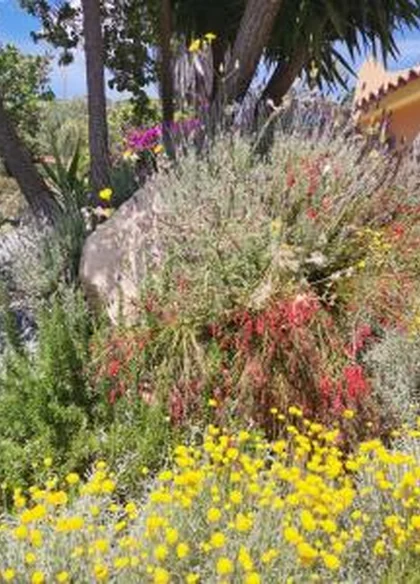 Bentos Bed & Breakfast 5