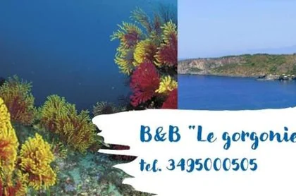 B&B Le Gorgonie 3