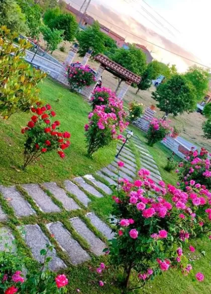 B&B da Mary 6