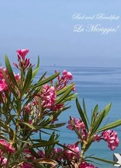 B&B La Meriggia 5