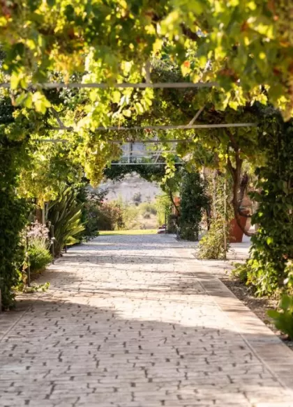 B&B Madre Vita 6