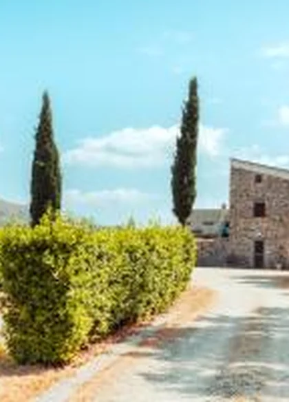 Agriturismo Le Vigne 5