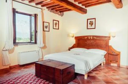 Agriturismo Le Vigne 7