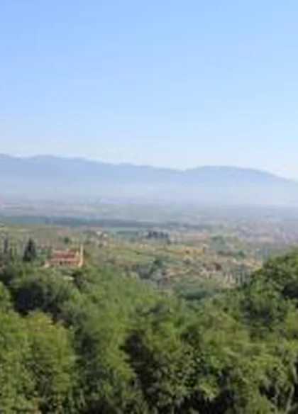 Agriturismo Gli Arancini 5