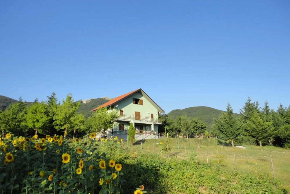 B&B Green House