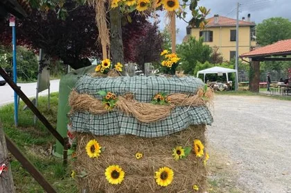 Hotel Villa Carla 4