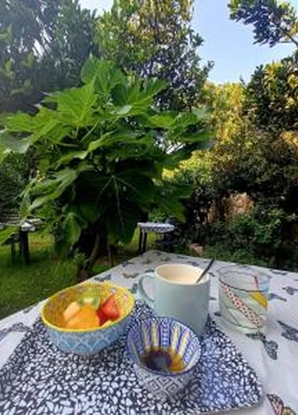 Il giardino di Tatiana 5