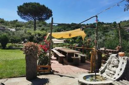 B&B L'angolo di campagna 7
