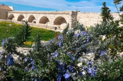 Masseria Conti Filo B&B Altamura 8