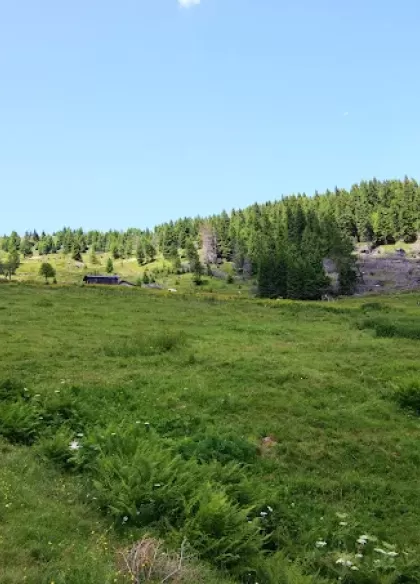 Rifugio Malga Masi 5