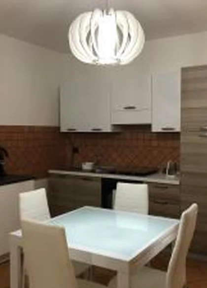 Tetto Verde 6
