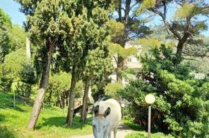 Villa dAlbertis 8