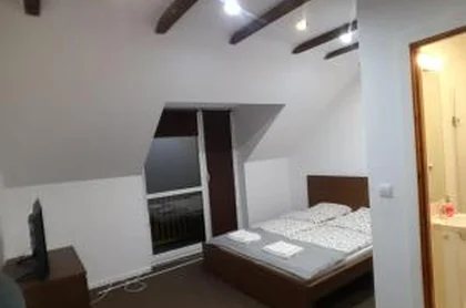 Spa Apartments Lidzbark Mazury 8
